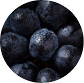 Maqui Berry